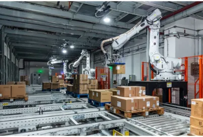 Palletizing Robot Palletizing Robot